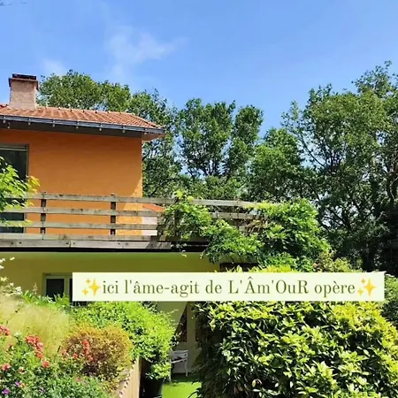 Bed & Breakfast Lamour